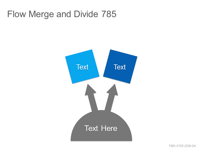 Flow Merge and Divide 785